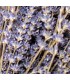 Ramo de Lavanda Azul