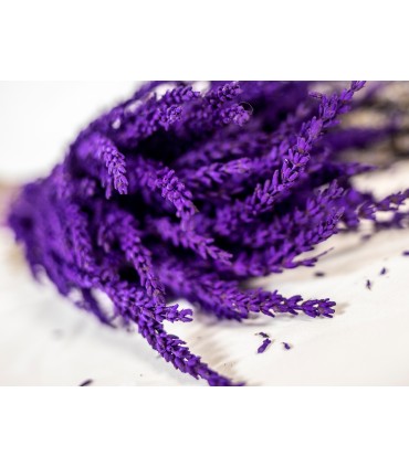 Ramo de Lavanda Morado.