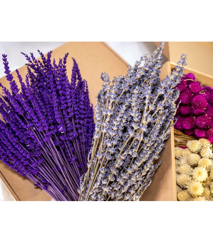 Ramo de Lavanda Morado.