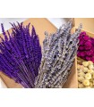 Ramo de Lavanda Morado.