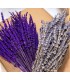 Pack 2 Ramos de Lavanda