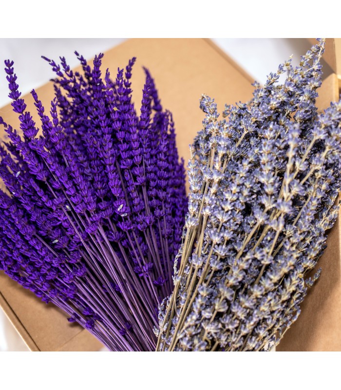 Pack 2 Ramos de Lavanda