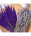 Pack 2 Ramos de Lavanda