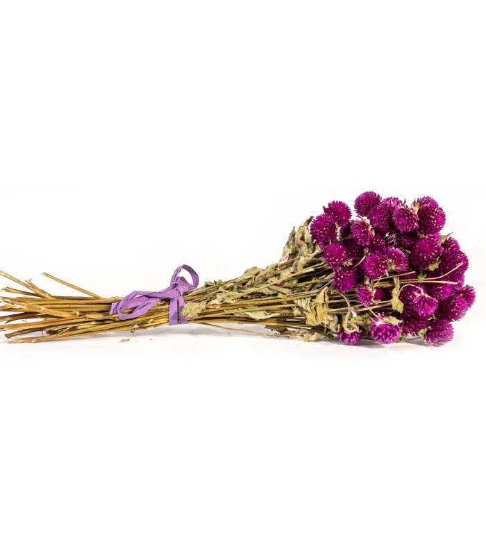 Ramo de Flores  Amaranto Púrpura