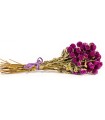 Ramo de Flores  Amaranto Púrpura