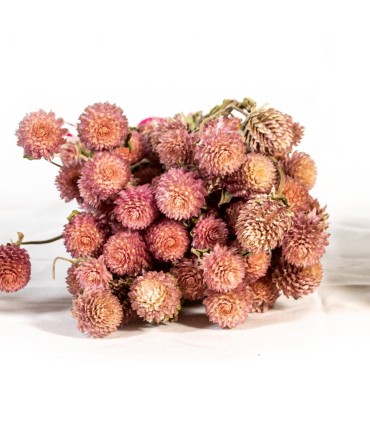 Ramo de Flores  Rose