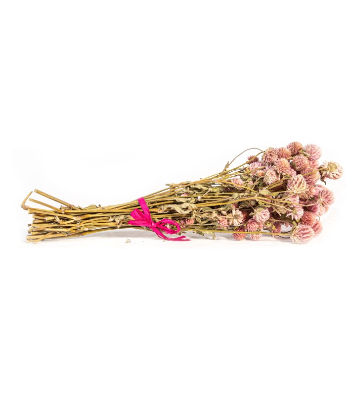 Ramo de Flores  Rose