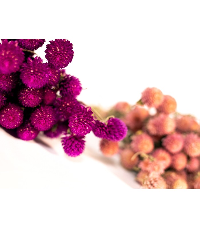 Ramo de Flores  Rose