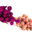 Ramo de Flores  Rose