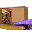 Ramo de Flores  Rose
