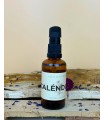 Aceite puro de Caléndula. Comprar y Oferta en AromesDeMorella