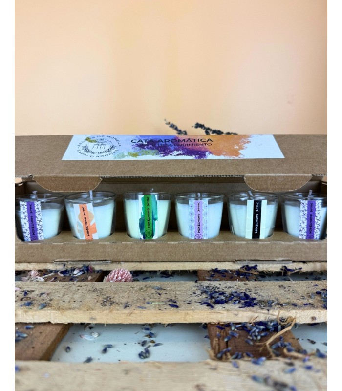 CATA AROMÁTICA con 6 velas- EXPERIENCIA perfumada con velas naturales!
