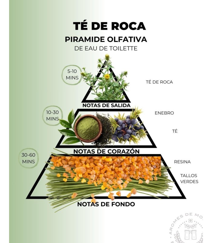 Spray de hogar de Té de Roca con aceites. Comprar en AromesDeMorella